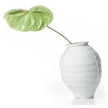 Модель Ming Vase от фабрики Moooi, дизайн Wanders Marcel.