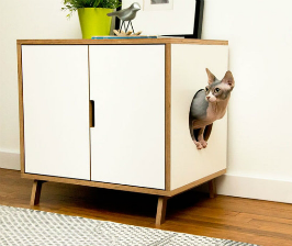 Братья меньшие: что учесть в дизайне интерьера, если в доме есть животные