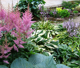 Декоративнолистные растения в дизайне сада