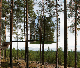 Отель в лесу