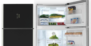 Зеркальные холодильники BEKO 