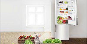 Современный холодильник: каким он должен быть?