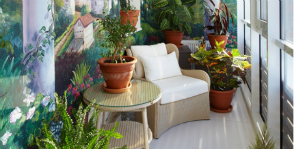 Комнатные растения: время переезжать на балкон